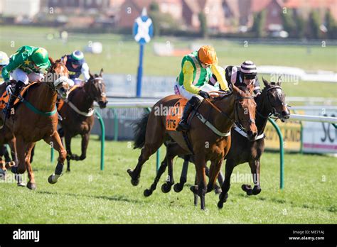 CHAMPION HURDLE .